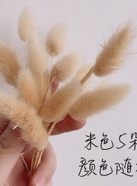 处理特价CA13彩色狗尾巴草DIY