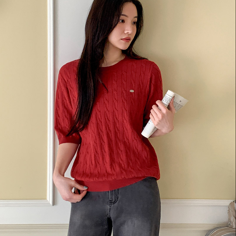 韩国代购大码女装2026靓丽早春装新款圆领时尚麻花辫针织短袖T恤