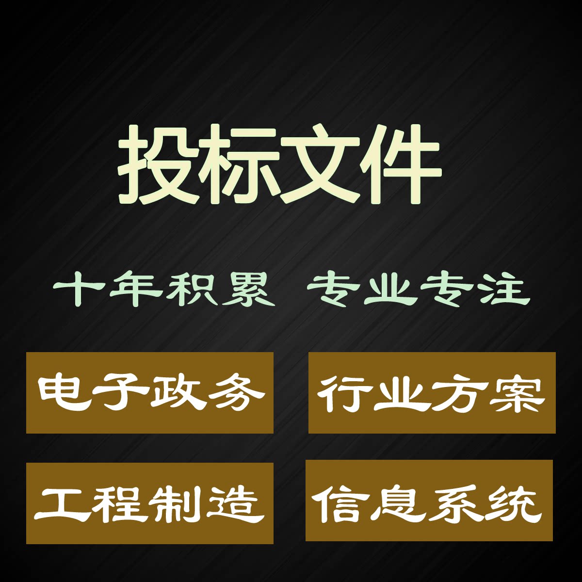 投标文件制作投标技术方案代做写信息化软件系统招标磋商采购文件