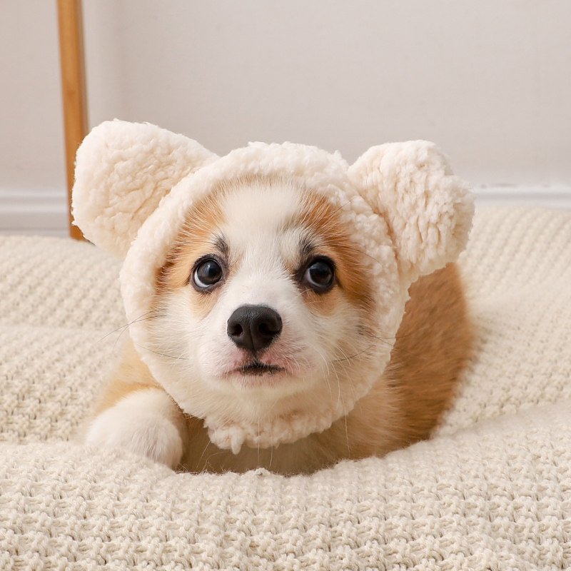 宠物帽子小兔子毛绒头套柯基可爱猫咪小型犬狗狗拍照头饰变装配饰