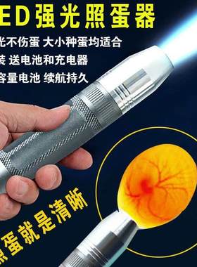 ！鸽子受精蛋可以孵化鸽子的种蛋人工孵化鸽蛋信鸽蛋元宝鸽受精蛋