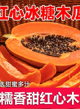 红心牛奶木瓜新鲜水果孕妇应季冰糖心大青树上熟木瓜现摘下奶果