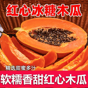 红心牛奶木瓜新鲜水果孕妇应季冰糖心大青树上熟木瓜现摘下奶果