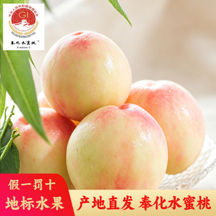 奉化水蜜桃新鲜水果当季现摘软桃子(奉化直发)宁波玉露湖景蜜露
