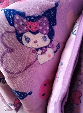 清 外贸日单尾货珊瑚绒床护垫沙发垫榻榻米垫 包邮19.99元一条