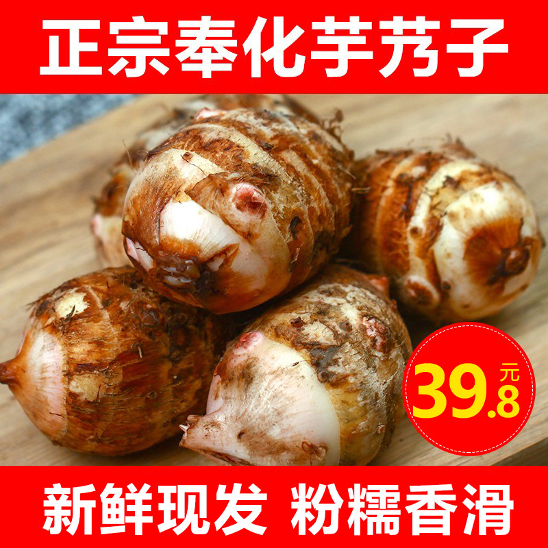 正宗奉化特产芋艿头小芋头5斤 溪口新鲜农家非荔浦蔬菜包邮芋艿子