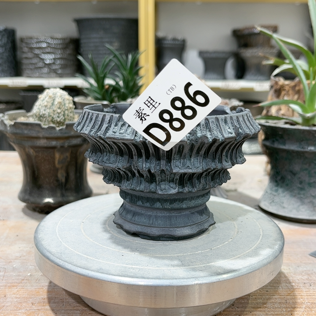 瑕疵口10高7.5正价88