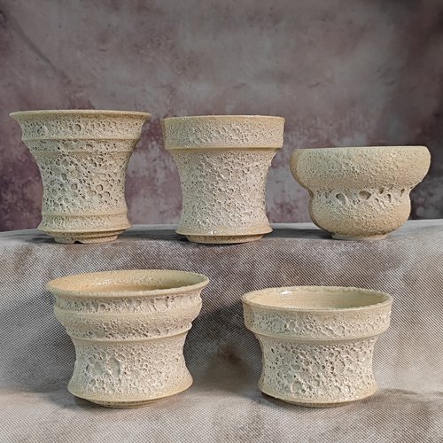 小号奶油泡泡手工陶瓷盆银叶睡布袋笹之雪星兜防闷根块根植物盆