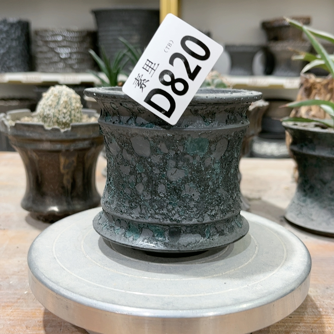 福利口7.5高8.5正价60