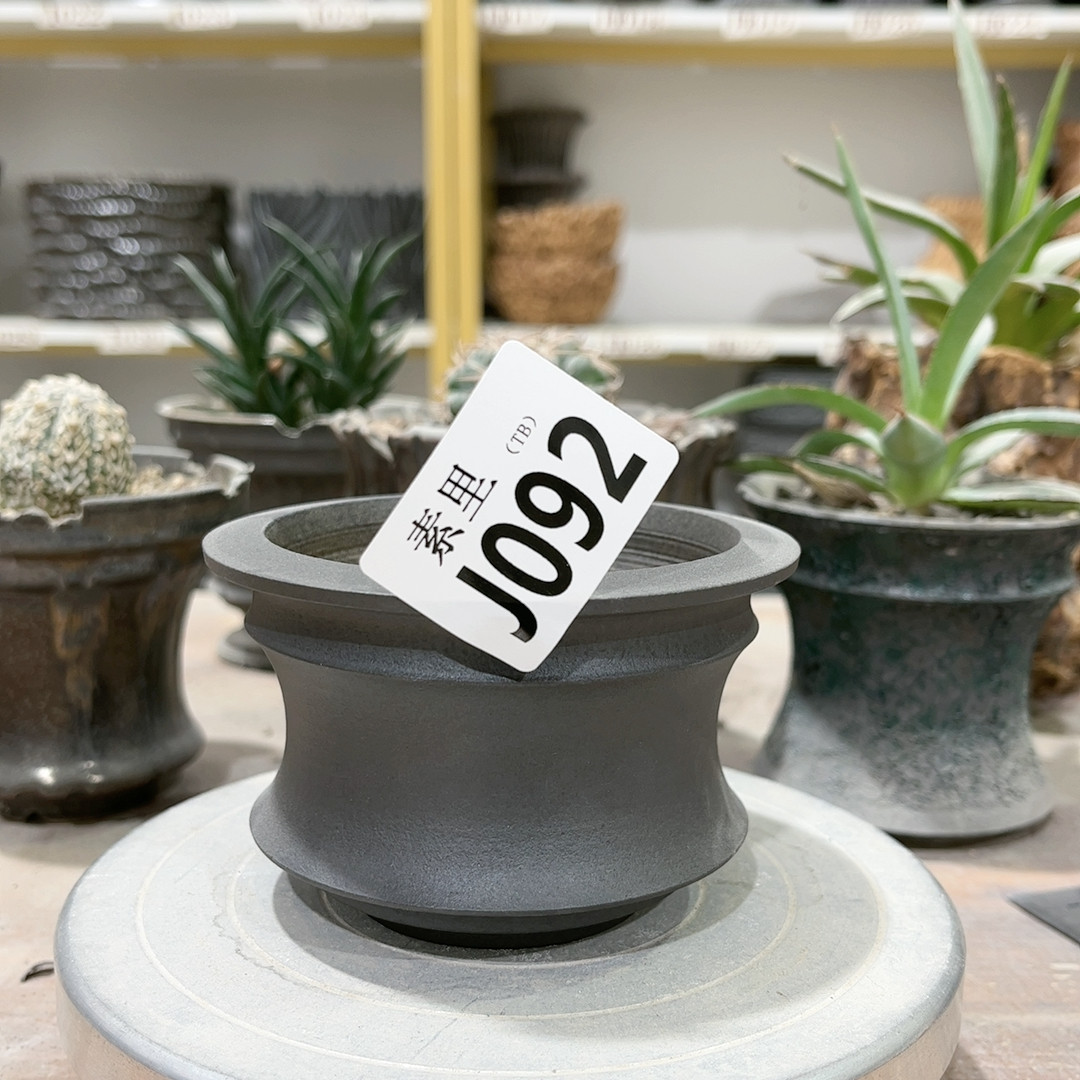 口8高6.5,鲜花速递/花卉仿真/绿植园艺,花盆,淘宝优惠券,粉丝福利购,淘宝优惠卷