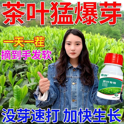 茶叶催芽王爆芽素茶树快速出芽催芽发枝素茶叶农用催芽壮芽水溶肥