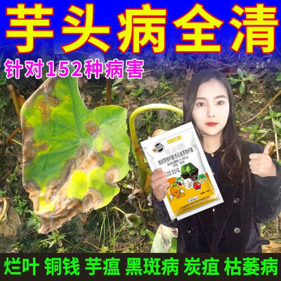 芋头病专用药治烂根叶枯病枯萎病软腐病斑点病疫病抗病增产杀菌剂