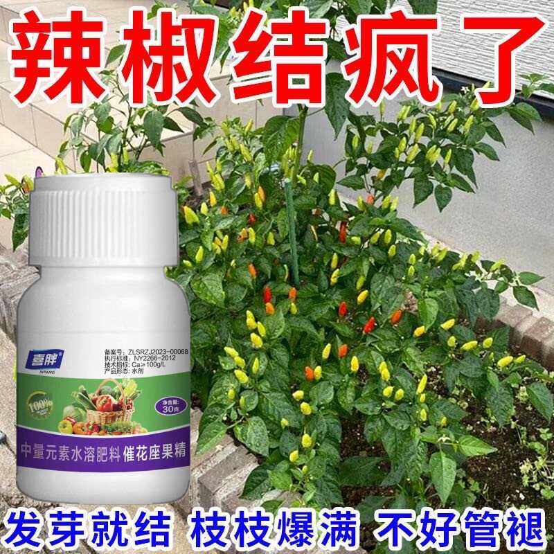 高产抗病促生长批发辣椒专用肥料