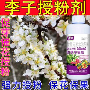 李子树催花授粉座果灵李子专用授粉药免沾花防落果保花保果叶面肥