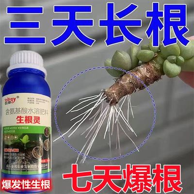 强力生根液【3天生根】植物扦插生根剂快速发根壮苗扦插移栽专用