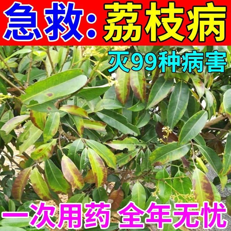 荔枝炭疽病荔枝专用杀菌剂黄叶病霜霉病疫病病毒病白粉病快速杀菌