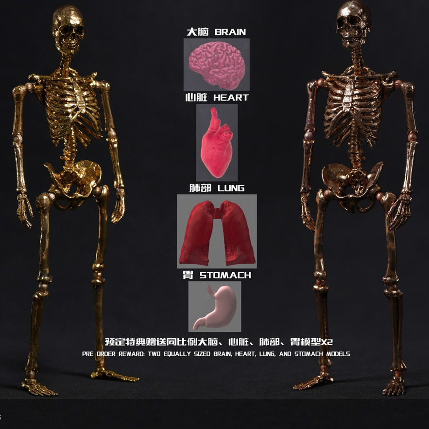 【定金包邮】101TOYS 1/12 骷髅骨架素体 限定双人套装 雕像手办