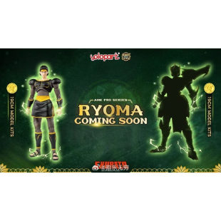 【定金】 YoloPark AMK Pro 天空战记 龙王 良马 可动手办人偶