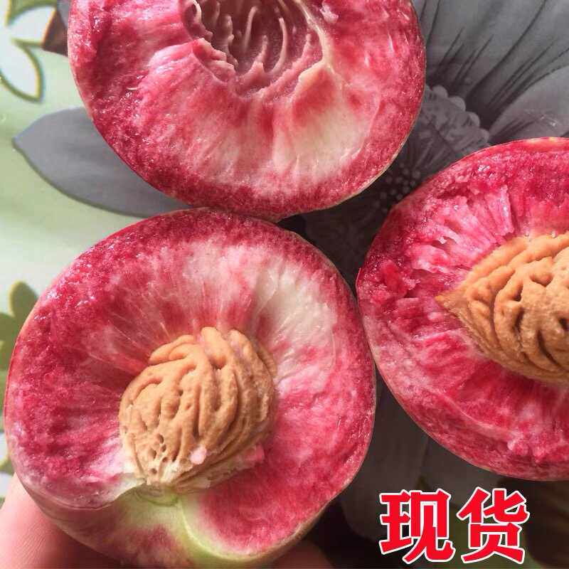顺丰湖北胭脂红血桃，水果纯甜朱砂红血桃五月红五月仙桃子