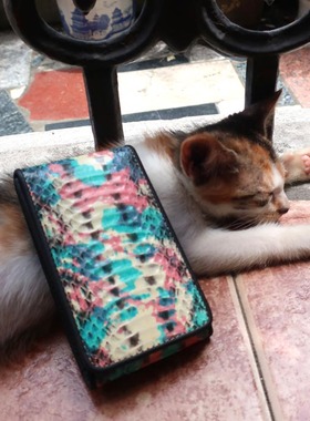 福利：清新点彩派整张真蛇皮配黑色头层小牛皮多层卡包烟盒收纳包