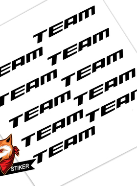 适用于SUPERTEAM CX22碳纤维轮组标防水改色美化贴纸