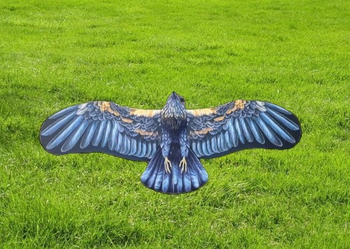 盘鹰风筝，碳片制作，做工讲究，飘飞稳定，倒飞丝滑，不易变形。