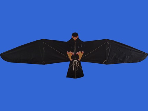 纯手工精致创新背杆设计三米板鹰1-5级风不翻版适合板鹰发烧友