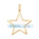 L19 пятиконечная звезда белая