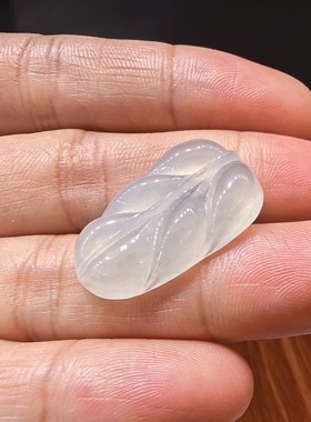 缅甸翡翠家大叶大叶子白冰种金枝玉叶