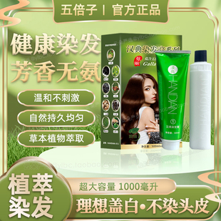 五贝子植物染发剂焗油膏官方旗舰店正品五倍子自己染盖白发无刺激