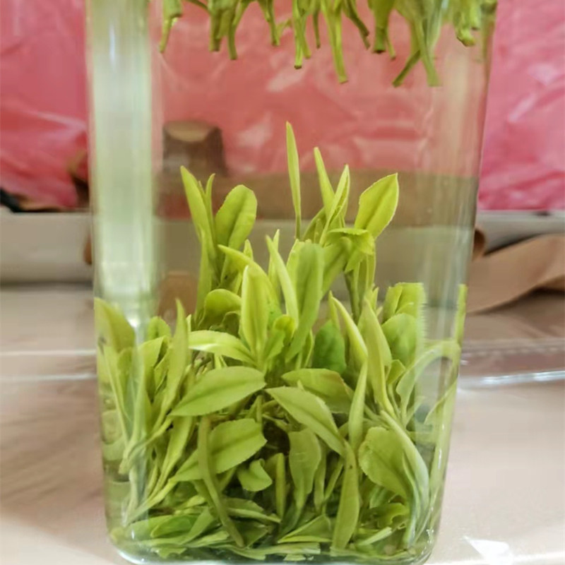 桐城小花茶叶龙眠茶2023年新茶明前春茶贡品绿茶毛尖嫩芽250g罐装
