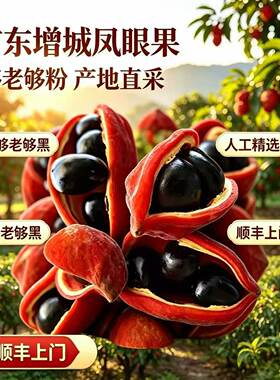广东凤眼果萍婆六旺果九层皮