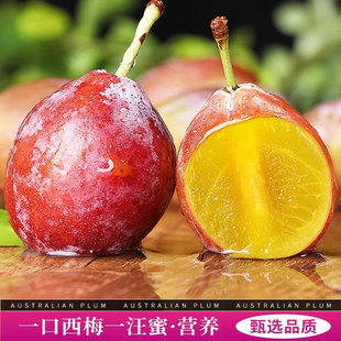 顺丰包邮智利进口西梅新鲜水果整箱当季甜西梅法兰西