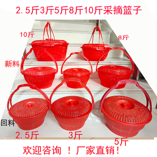 2.5斤3斤5斤8斤10斤带盖鸡蛋篮草莓篮樱桃篮蓝莓采摘桑葚葡萄筐