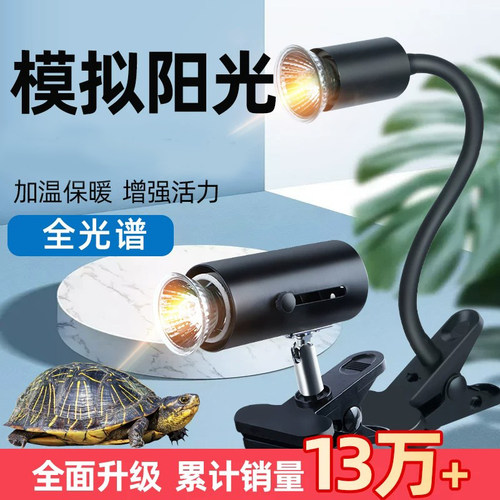 热卖18万+！晒背灯补钙不烂甲