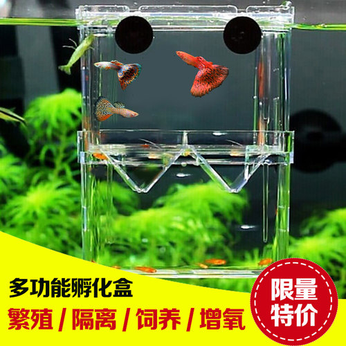 亚克力鱼缸隔离盒特大号气动式产卵孵化盒孔雀鱼繁殖盒产房小鱼苗