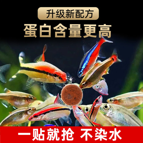 致品贴片鱼食小型鱼专用鱼粮饲料