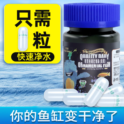 真活菌只需1粒你的鱼缸变干净