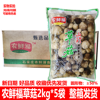农鲜福草菇什锦菇2kg火锅麻辣烫餐饮滑子菇预制菜鲜食材清水蘑菇