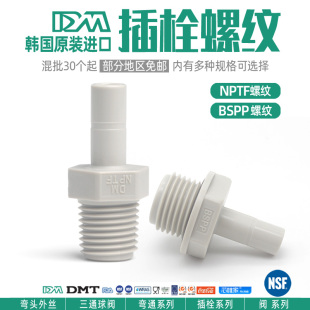 DM塑料接头2分3分插栓硬插杆NPTF外牙BSPT净水器牙科气动转换配件