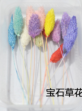 宝石草干花包精选花头花头材料包