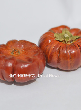 迷你小南瓜干花包万圣节圣诞果实