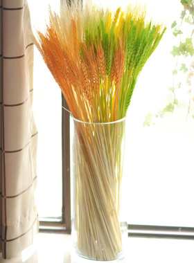 彩色小麦穗干花包混搭紫色花束粉色大麦天然真花客厅桌面装饰材料