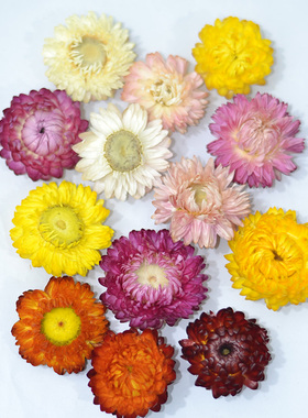 小雏菊麦杆菊干花包手工材料天然