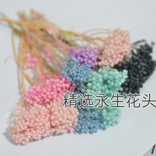 米花短枝干花包混搭花束永生花材手工材料客厅小清新浮油花头压花