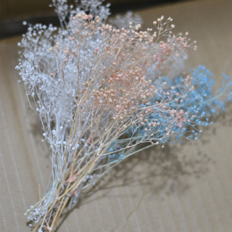 短枝干花包葭草小满天星花材花头
