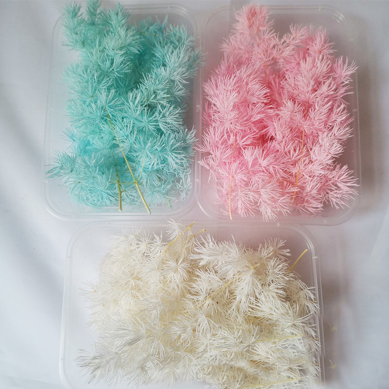 蓬莱松永生花小树枝树叶干花手工diy花材相筐画团扇浮油花零散花
