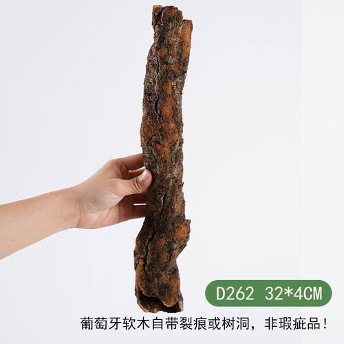 【青氧】葡萄牙软木雨林缸造景附生植物爬宠攀爬躲避屋孤品-D262