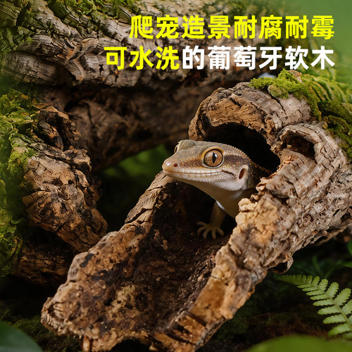 【青氧】精选葡萄牙软木高品质雨林缸造景附生植物爬宠攀爬躲避屋