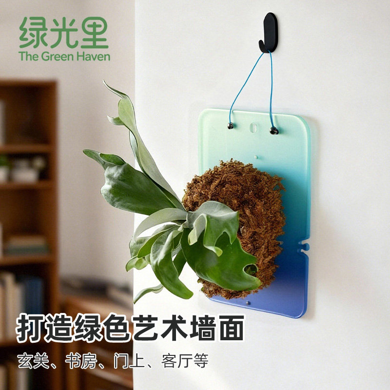 鹿角蕨亚克力挂板板植